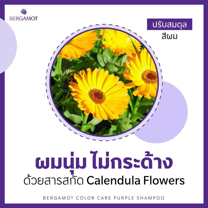 คอนดิชันเนอร์ Bergamot Color Care Purple Conditioner