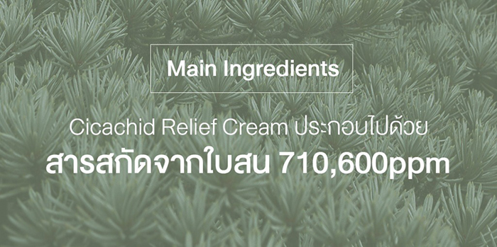 ครีมบำรุงผิวหน้า NEEDLY Cicachid Relief Cream