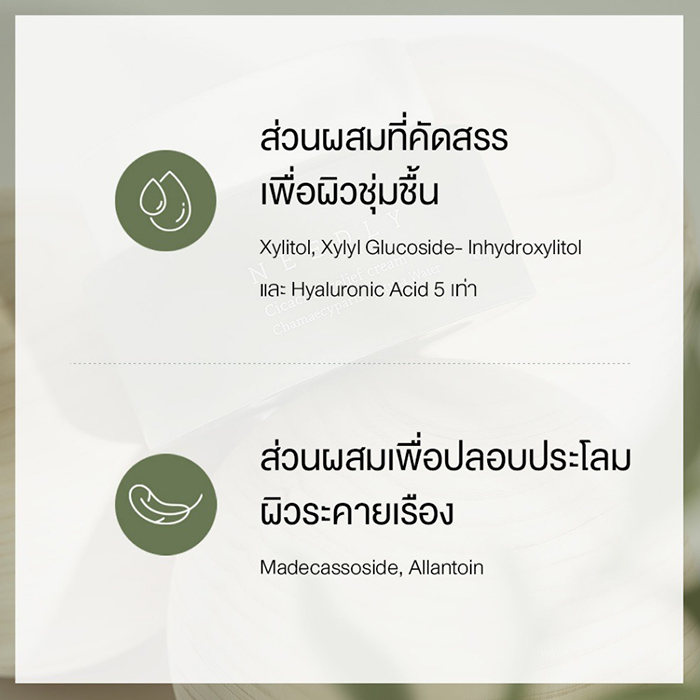 ครีมบำรุงผิวหน้า NEEDLY Cicachid Relief Cream