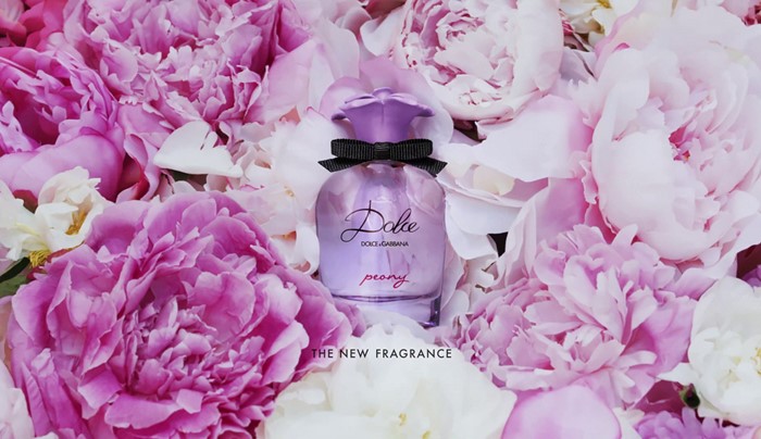 น้ำหอม Dolce & Gabbana Dolce Peony