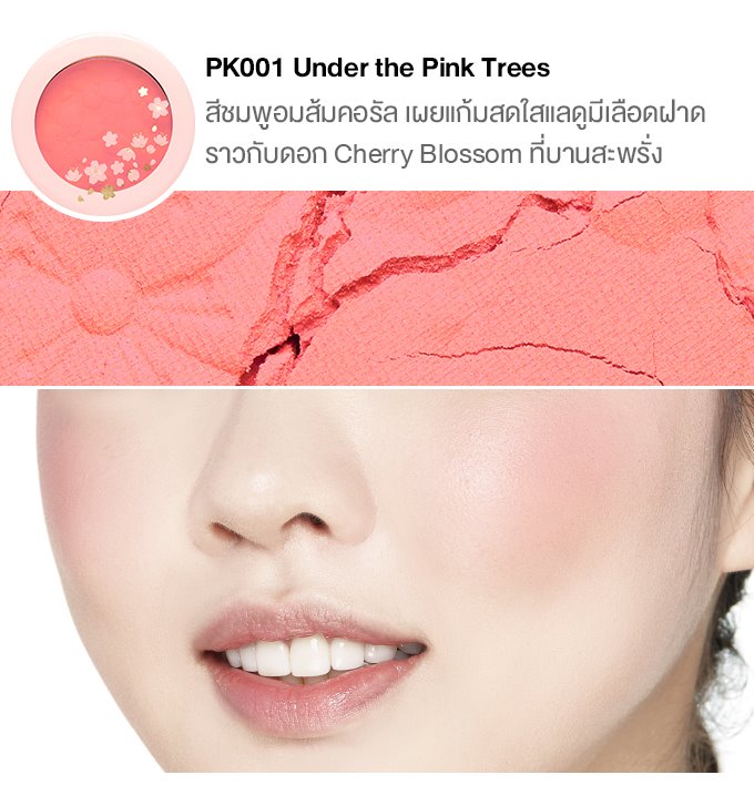 บลัชออน Etude House Blossom Cheek [Blossom Picnic]