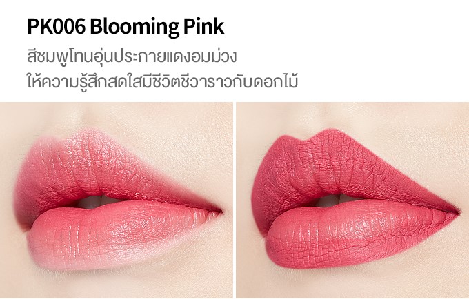 ลิปแมตต์ Etude House Matte Chic Lip Lacquer