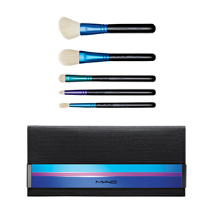 mac enchanted eve brush bags