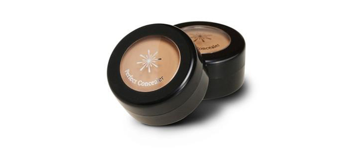 Missha The Style Perfect Concealer