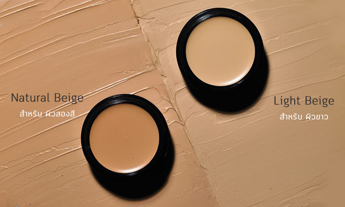 Missha The Style Perfect Concealer