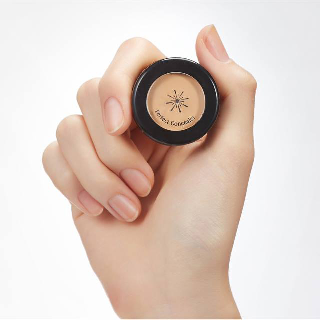 Missha The Style Perfect Concealer