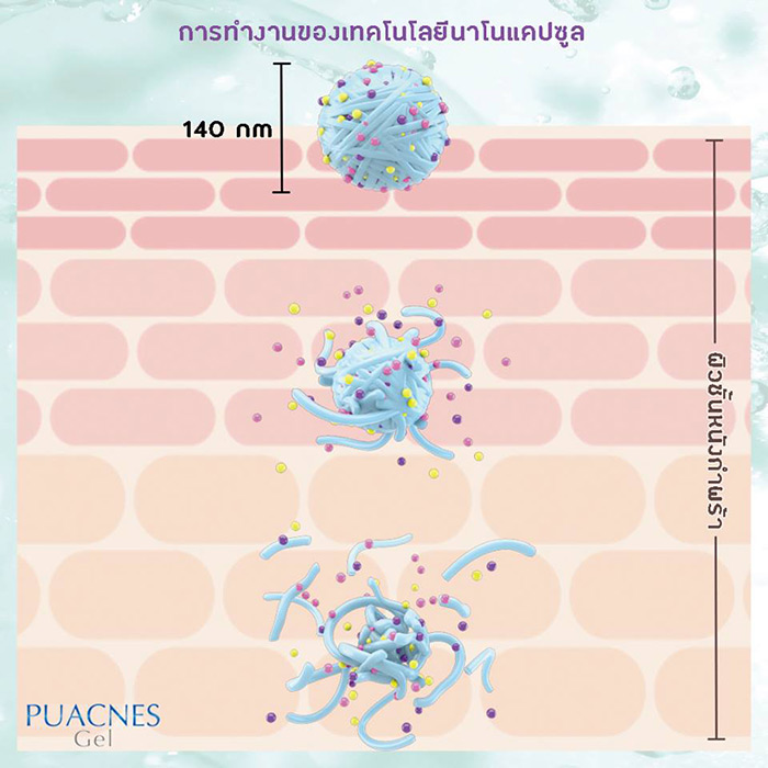 NanoCrysphere Puacnes Gel