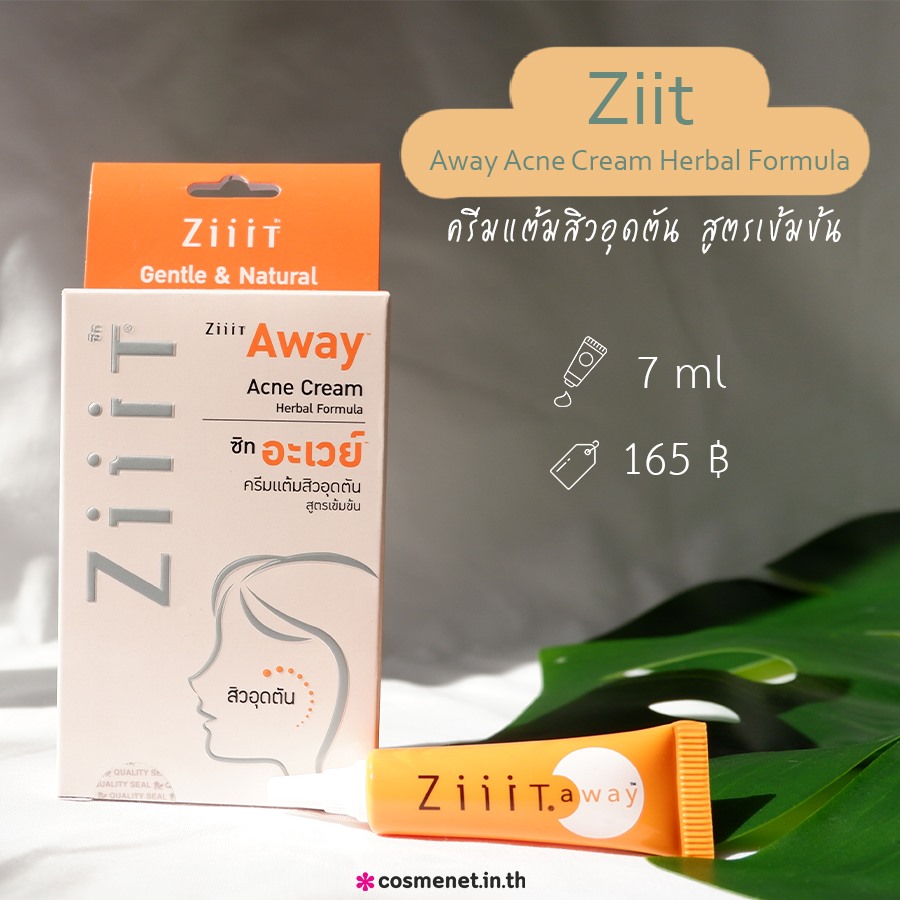 Ziiit Away Acne Cream Herbal Formula ครีมแต้มสิว