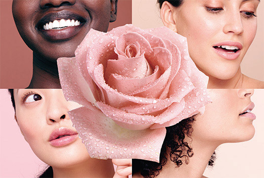 the body shop
