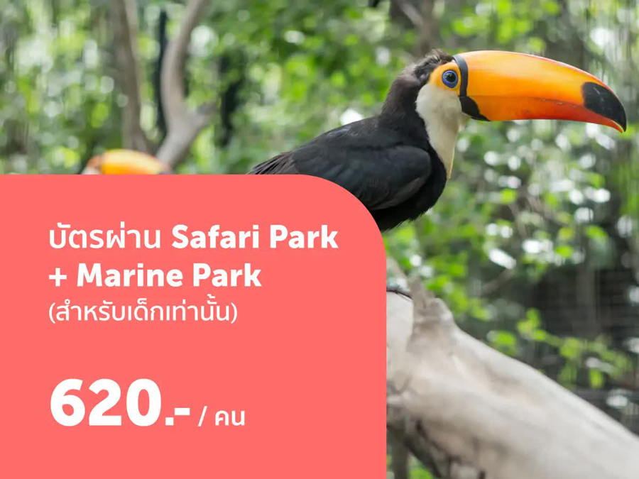  Safari World Exclusive Deals 