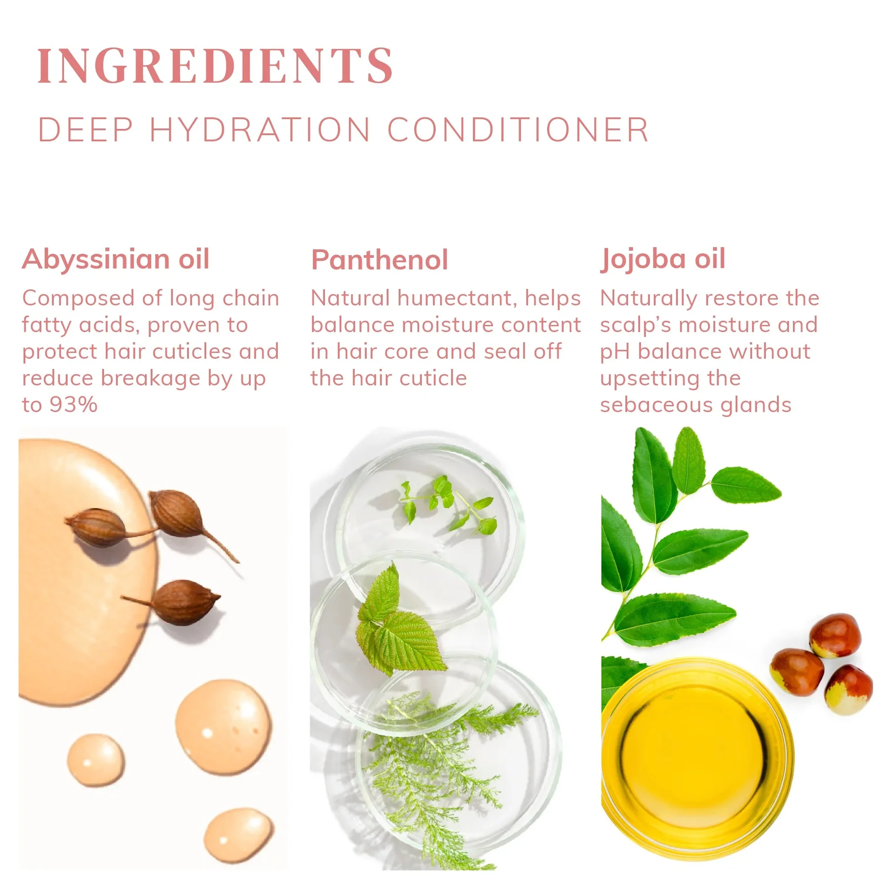 ครีมนวด ABYSSIAN Deep Hydration Conditioner