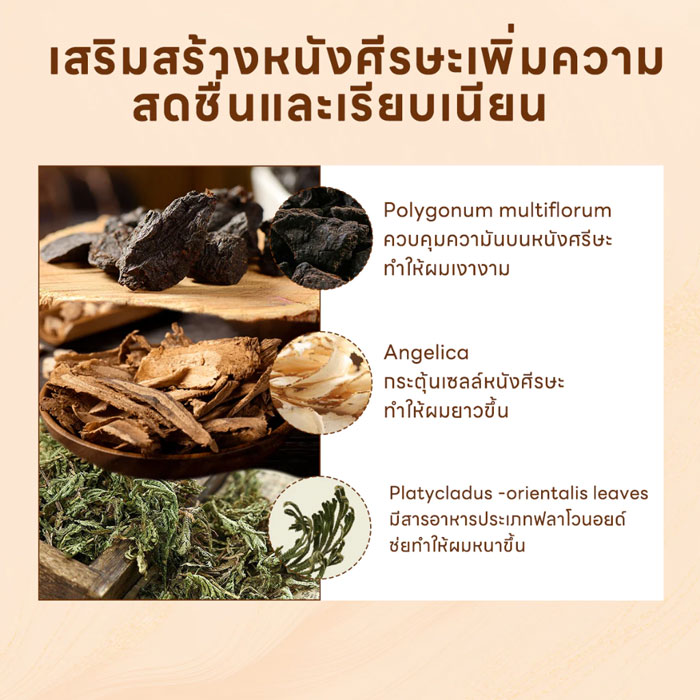 เซรั่มบำรุงผมและหนังศีรษะ Aisasea Thuja Hair Rejuvenating Serum-Anti-Hairloss Serum