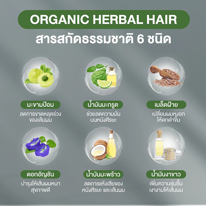 คอนดิชันเนอร์ Allwell Organic Herbal Hair Conditioner