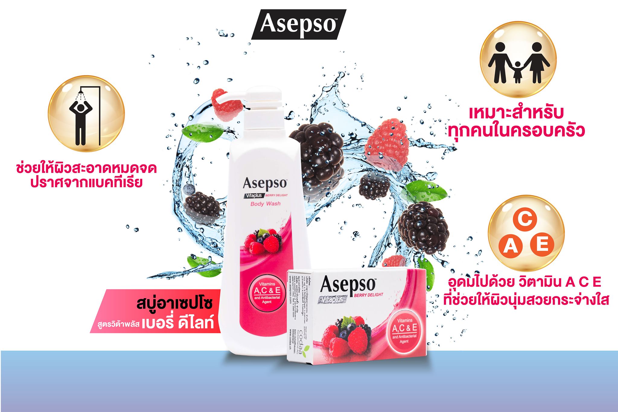 Asepso Vitaplus Berry Delight