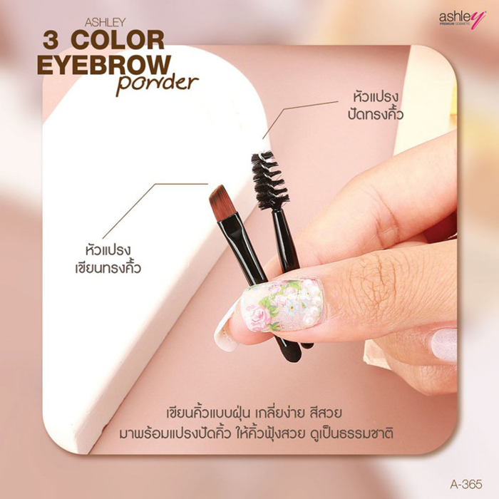 ที่เขียนคิ้วแบบฝุ่น Ashley 3 Color Eyebrow Powder