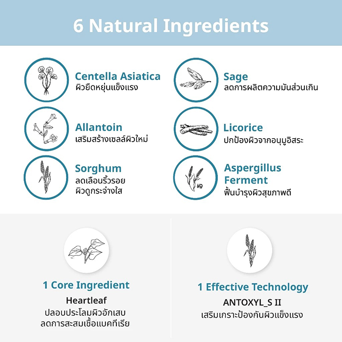 ครีมทาหน้า AXIS-Y Heartleaf My Type Calming Cream
