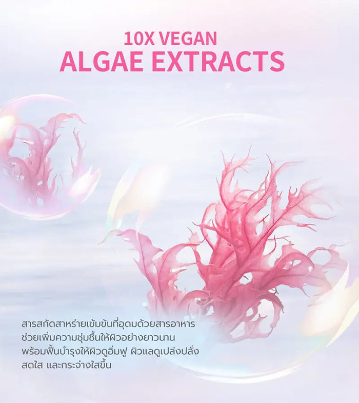 คุชชั่น barenbliss Bloomvegan Better me 2-in-1 Cushion & Powder