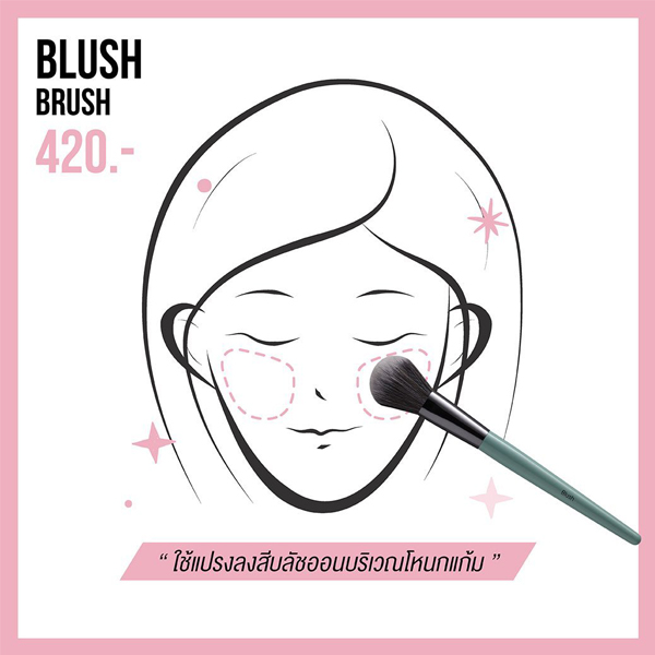 Brush Too Blush Brush