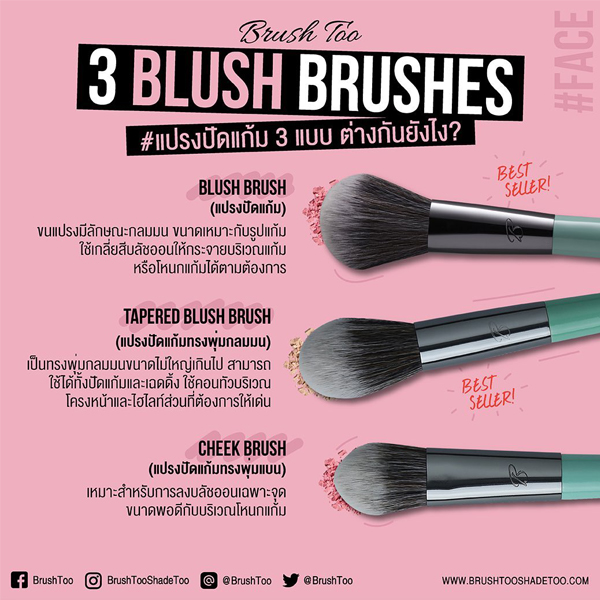 Brush Too Blush Brush