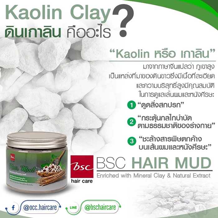 โคลนหมักผม BSC Hair Mud