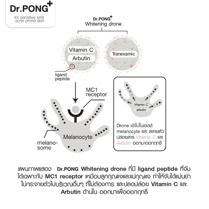 เซรั่ม Dr.PONG 28D Whitening Drone Acne Serum