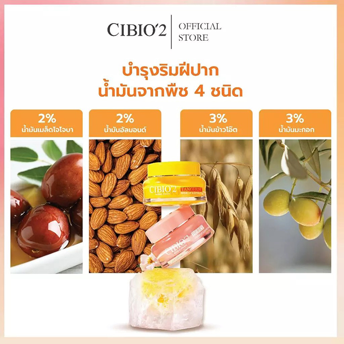 เซตดูแลริมฝีปาก CIBIO'2 Juicy Lip Care Set