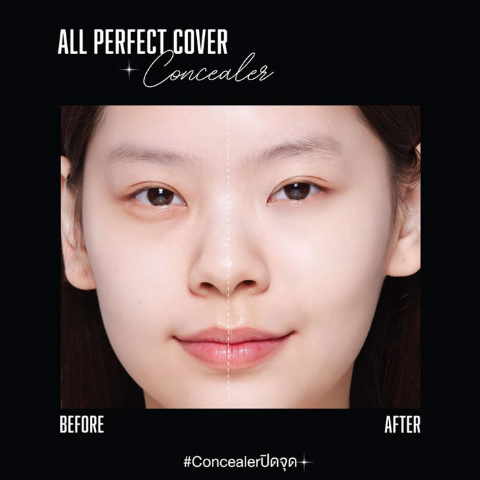 คอนซีลเลอร์ Jovina All Perfect Cover Concealer