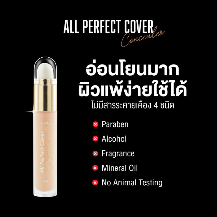 คอนซีลเลอร์ Jovina All Perfect Cover Concealer