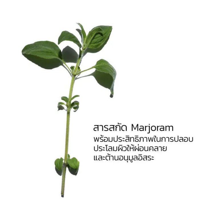 ออยล์บำรุงผิว Clarins Anti-Eau Contour Body Treatment Oil