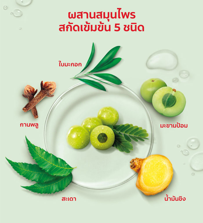 Colgate Toothpaste Panjaved Herbal Detox ยาสีฟัน