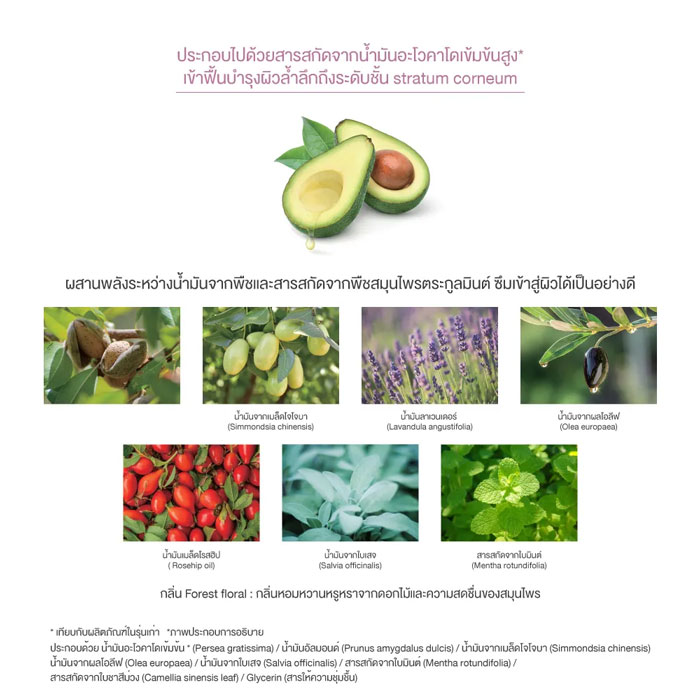 อีมัลชั่น Decorte Prime Latte
