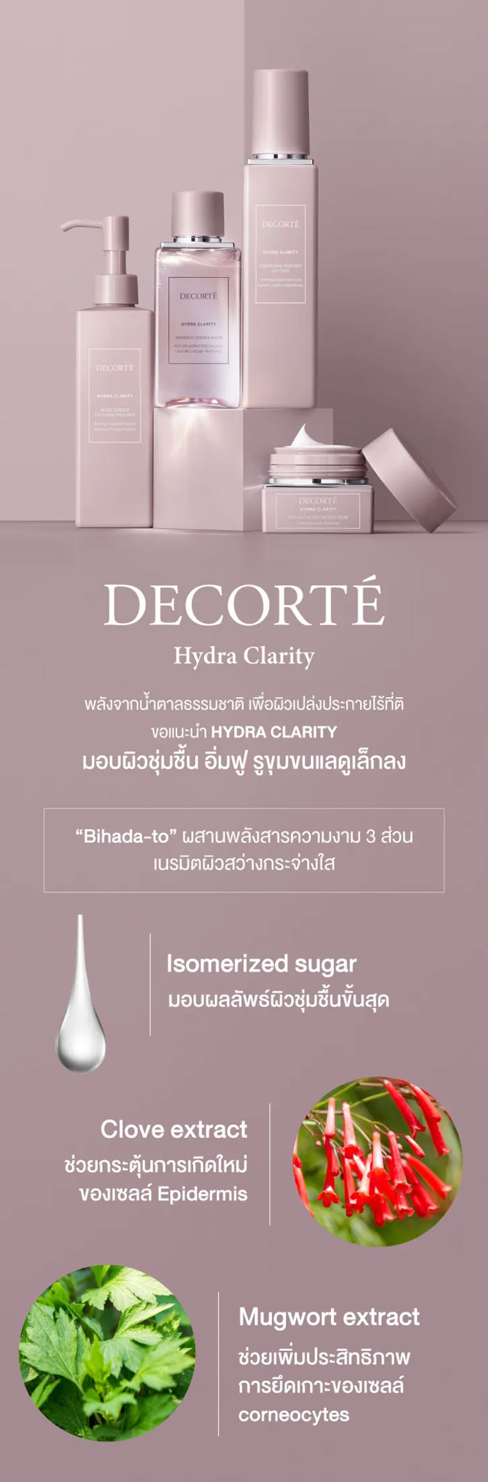 อีมัลชั่น Decorte Hydra Clarity Treatment Softener Er อีมัลชั่น Decorte Hydra Clarity Treatment Softener Er