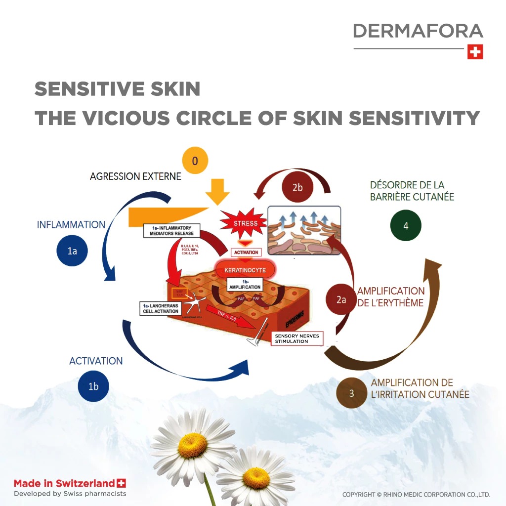 ครีมบำรุงผิวหน้า Dermafora Soothing Cream