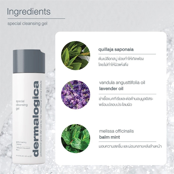 คลีนซิ่งเจล Dermalogica Special Cleansing Gel