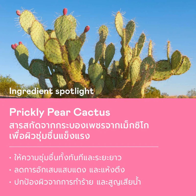 คลีนเซอร์ Divyne Milky Cactus Cleanser