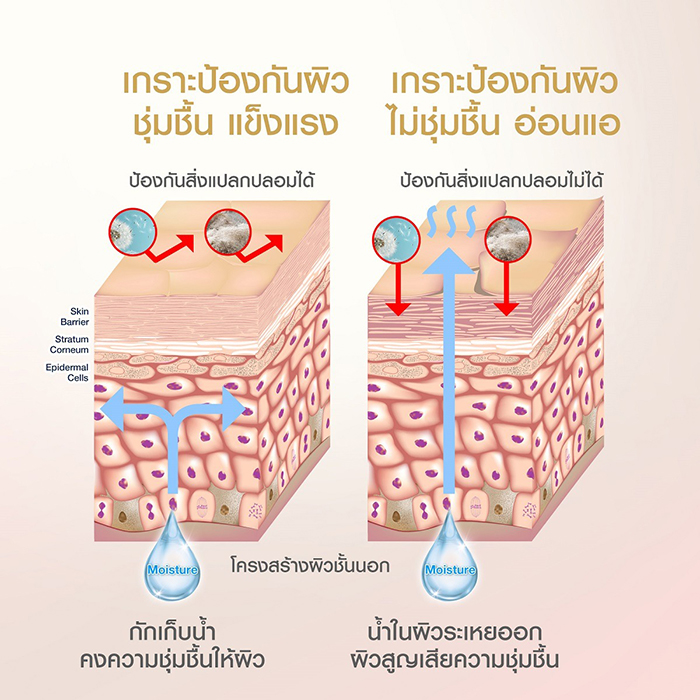 ครีมอาบน้ำ Dove Go Fresh Rebalancing Body Wash