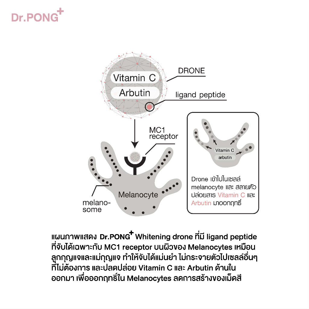 ลิปมาร์ก Dr.PONG 28D Whitening Drone Pinky Lip Mask