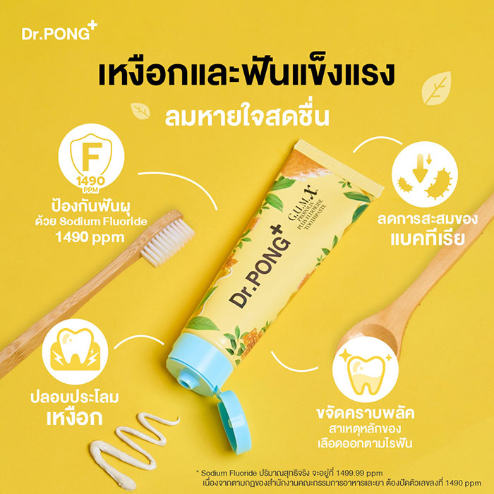 ยาสีฟันสมุนไพร Dr.PONG G.U.M.X. Propolis Plus Fluoride Toothpaste