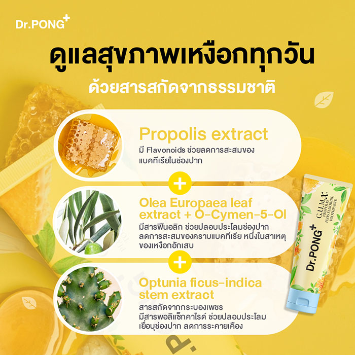 ยาสีฟันสมุนไพร Dr.PONG G.U.M.X. Propolis Plus Fluoride Toothpaste