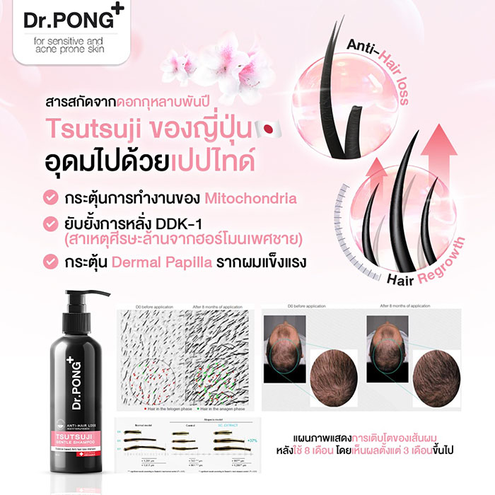 แชมพู Dr.PONG Tsutsuji Gentle Shampoo