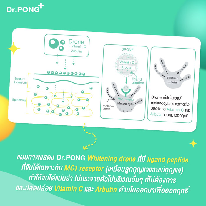 Dr.PONG 28H Whitening drone acne clear spot gel เจลแต้มสิว