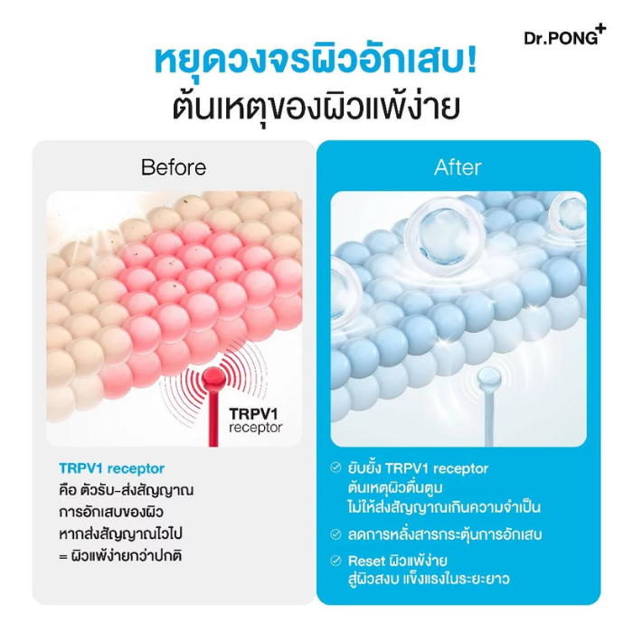 มอยส์เจล Dr. PONG CalmMea 1.5 Soothing Gel Cream มอยส์เจล Dr. PONG CalmMea 1.5 Soothing Gel Cream