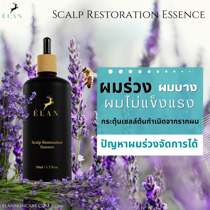 ELAN Scalp Restoration Essence เอสเซนส์บำรุงเส้นผม