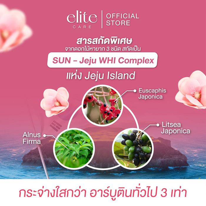 เซรั่มแพด Elite Care Serum Pad PDRN (CICA) Acne Clear & Lumiclear Brink & Moisture Balance