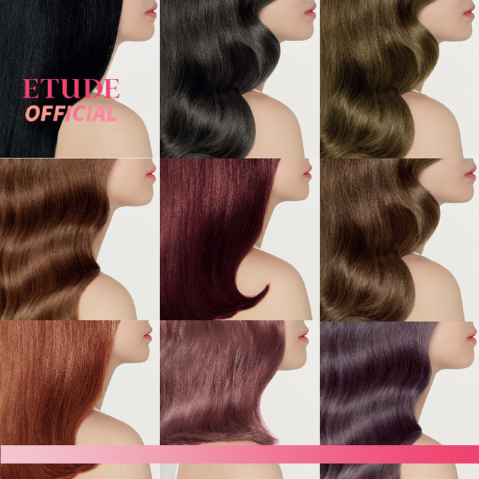 ยาเปลี่ยนสีผม Etude Hot Style Bubble Hair Coloring