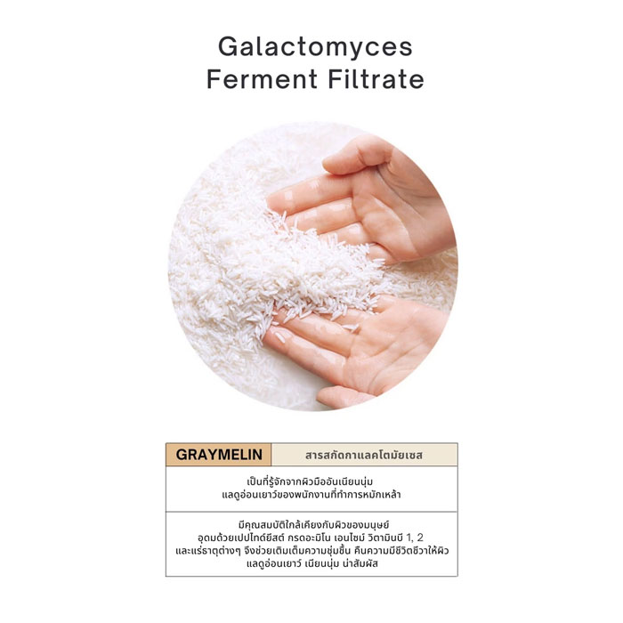 เซรั่ม Graymelin Galactomyces Ferment Filtrate