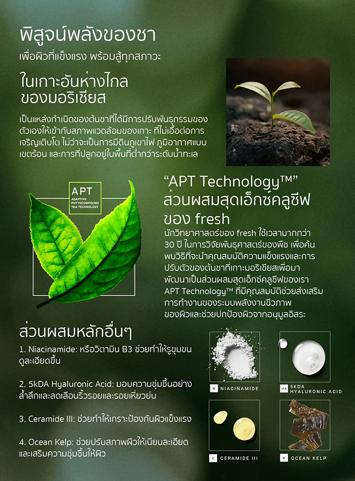 เซรั่ม Fresh Tea Elixir Skin Resilence Activating Serum