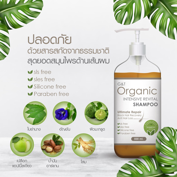 แชมพู G&T Organic Intensive Revital Shampoo