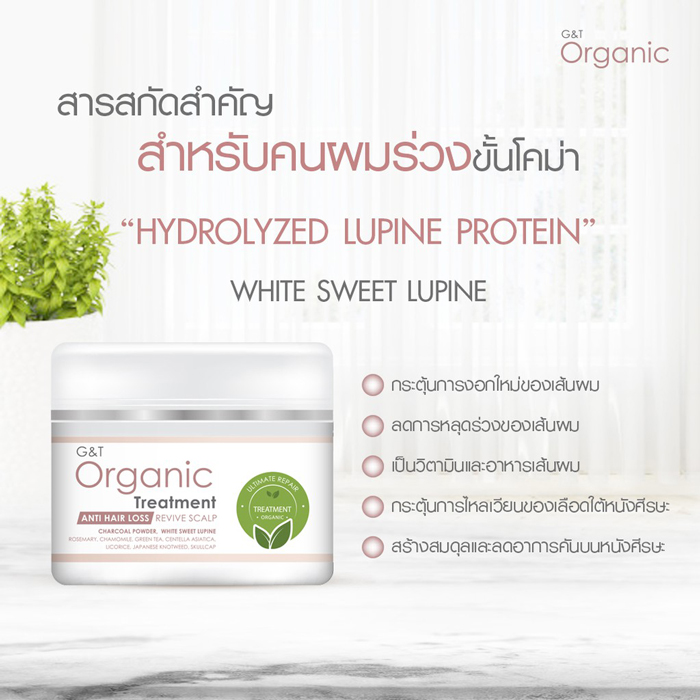 ทรีตเมนต์ G&T Organic Treatment Ultimate Repair - Anti Hair Loss & Revive Scalp