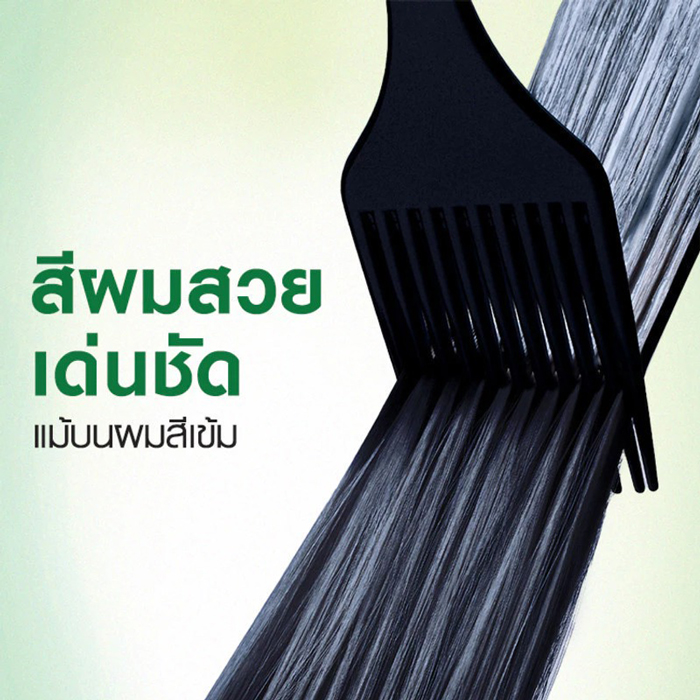 ครีมเปลี่ยนสีผม Garnier Color Naturals